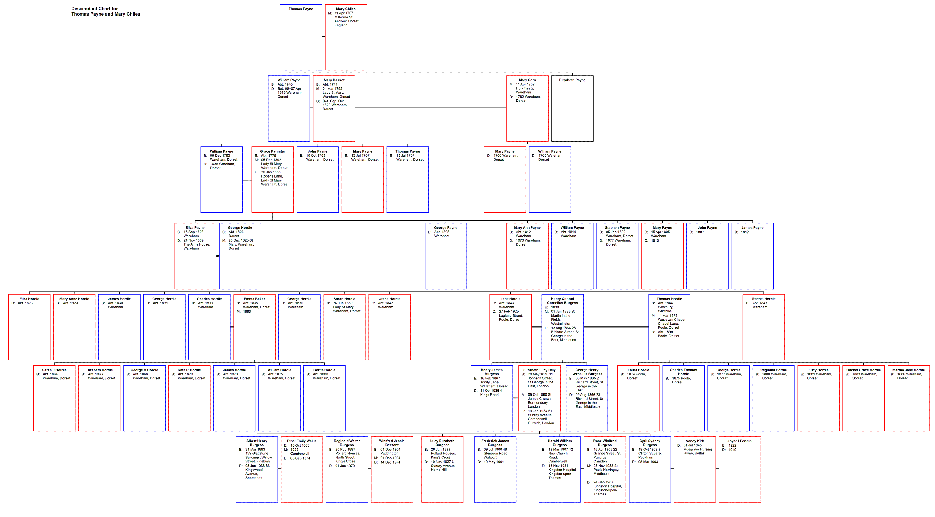 Descendant Chart for Thomas Payne and Mary Chiles
