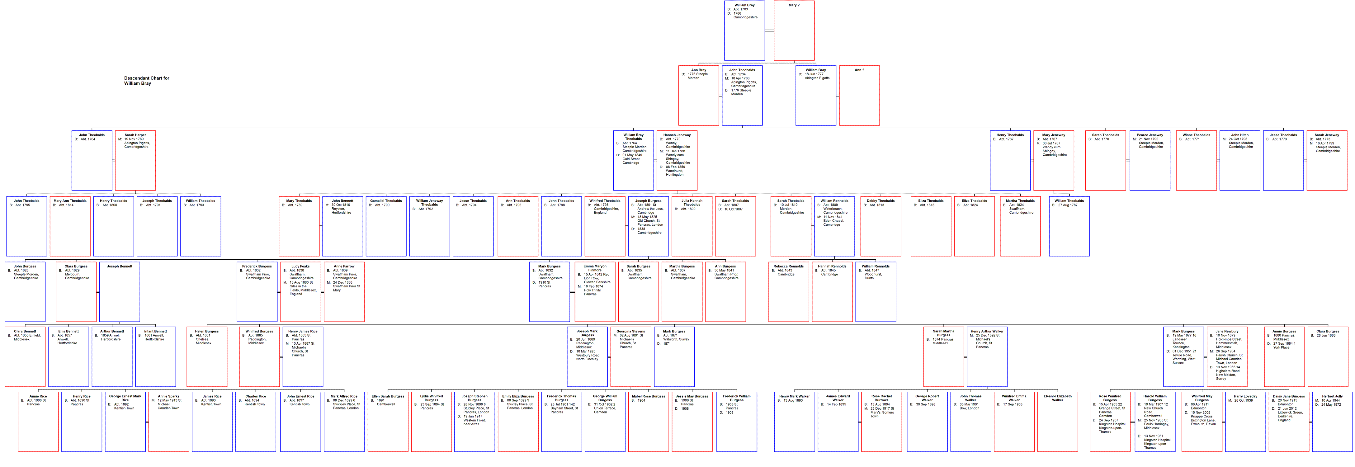 Descendant Chart for William Bray and Mary